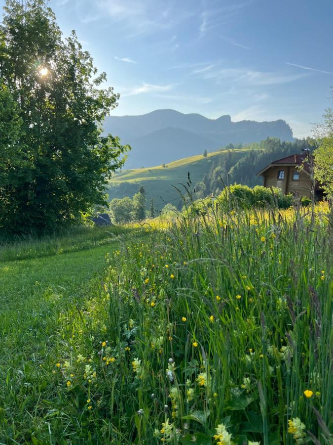 Tauglerei Appartement Enzian In Den Zauberbergen سانكت كولومن المظهر الخارجي الصورة